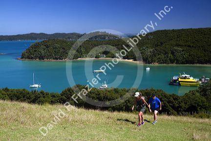 Hikers and view of Bay of Islands in the Northland Region, North Island, New Zealand.