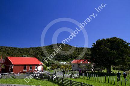 Old farmstead at the Bay of Islands in the Northland Region, North Island, New Zealand.
