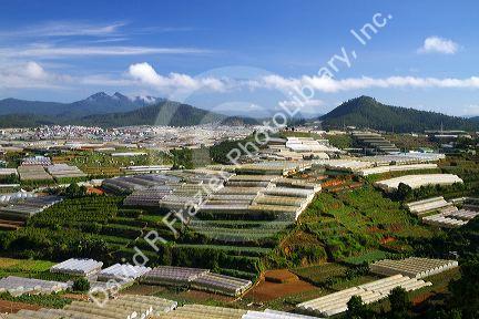 View of greenhouses used to grow plants and vegetables for domestic and export consumption in the Da Lat basin, Vietnam.