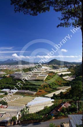 View of greenhouses used to grow plants and vegetables for domestic and export consumption in the Da Lat basin, Vietnam.