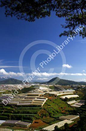 View of greenhouses used to grow plants and vegetables for domestic and export consumption in the Da Lat basin, Vietnam.