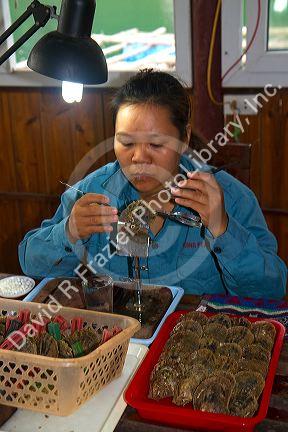 Worker on a pearl farm placing sand in an oyster shell to grow a cultured pearl, Ha Long Bay, Vietnam.