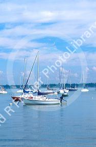 Boats at anchor off Long Boat Key with Sarasota, Florida in background.
