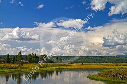 Harriman State Park located in the Greater Yellowstone Ecosystem in Eastern Idaho, USA.