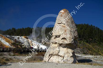 Liberty Cap hot spring cone located at Mammoth Hot Springs in Yellowstone National Park, Wyoming, USA.