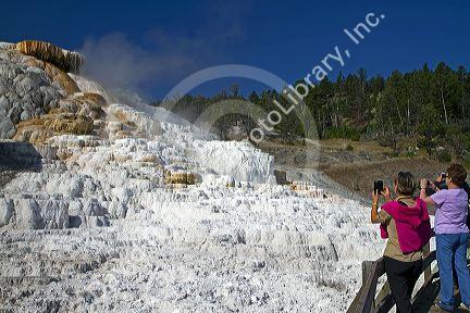 Mammoth Hot Springs flows over a hill of travertine in Yellowstone National Park, Wyoming, USA