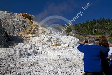 Mammoth Hot Springs flows over a hill of travertine in Yellowstone National Park, Wyoming, USA