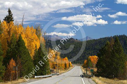 Trees in autumn color along Highway 75 near Ketchum, Idaho, USA.