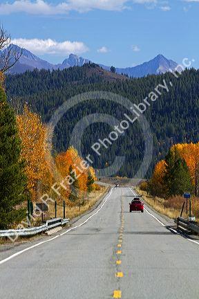 Trees in autumn color along Highway 75 near Ketchum, Idaho, USA.