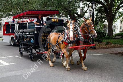Horse drawn carriage near Forsyth Park in Savannah, Georgia, USA.