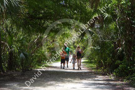 Family walking along a path in the Florida everglades, USA.
