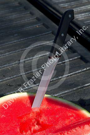 Knife in a slice of sample watermelon at a produce stand in rural Georgia, USA.