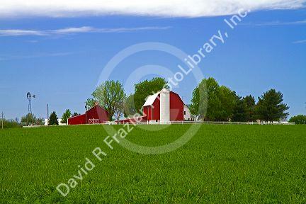 Alfalfa field with red barn and farm house in rural Allegan County, Michigan, USA.