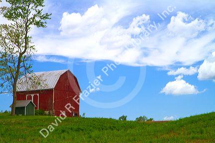 Alfalfa field with red barn and farm house in rural Allegan County, Michigan, USA.