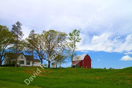 Alfalfa field with red barn and farm house in rural Allegan County, Michigan, USA.