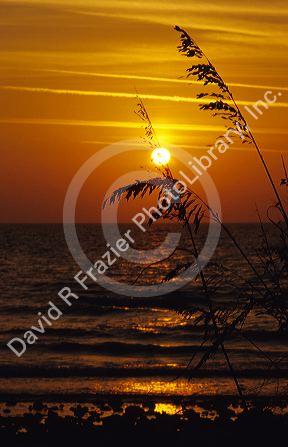 Sunset at Key West, Flordia Gulf Coast.