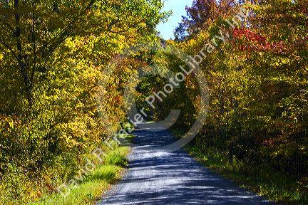 Fall foliage on a rural backroad near Lake Elmore in Lamoille County, Vermont, USA.