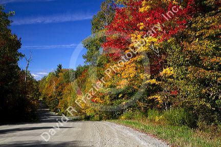Fall foliage on a rural backroad north of Stowe, Vermont, USA.