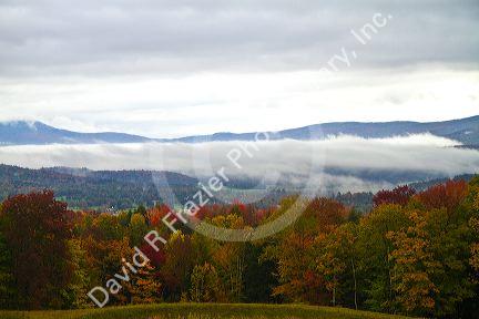 Fall foliage on a misty moring near Stowe, Vermont, USA.