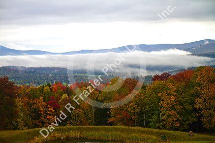 Fall foliage on a misty moring near Stowe, Vermont, USA.