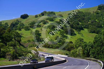 Green rolling hills along highway 152 near Hollister, California, USA.