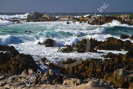 Pacific ocean waves and surf off the coast of Monteray, California, USA.