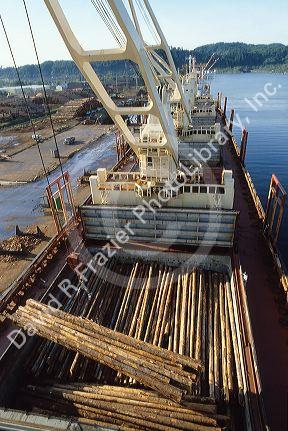 Logs being loaded for export to Japan at Aberdeen, Washington.
