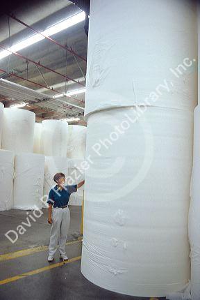 Large rolls of toilet paper inside a mill.