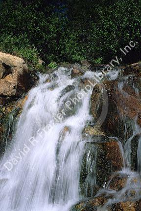 Mountain stream and waterfall in the Payette National Forest near Yellow Pine, Idaho.