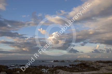 Seascape at Point Pinos, California near Pacific Grove and Monterey.