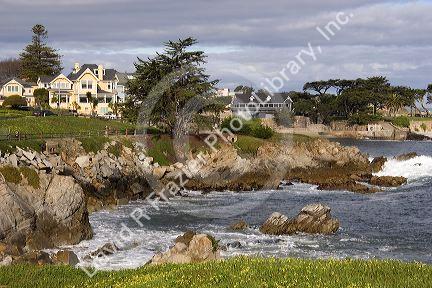 Homes along the rocky shore in Monterey, California.