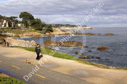 Woman walking her dog along the rocky shore in Monterey, California.