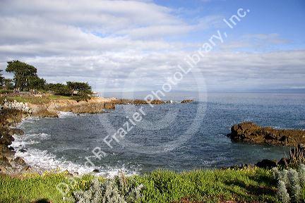 The rocky shore in Monterey, California.