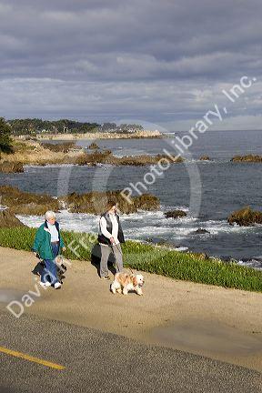 People walking their dogs along the rocky shore in Monterey, California.
