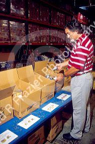Employee at a the Idaho Foodbank Warehouse sorting canned goods.
