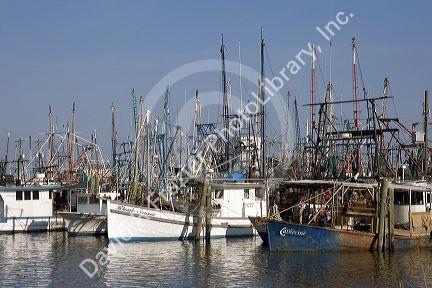 Fishing boat harbor and marina with shrimp boats at Pass Christian, Mississippi.