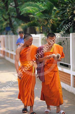 Buddhist monks in Chiang Mai, Thailand.