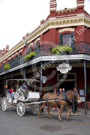 Mule drawn carriage in the French Quarter of New Orleans, Louisiana.