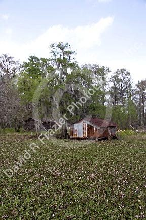 Swamp shacks in a bayou outside new Orleans, Louisiana.