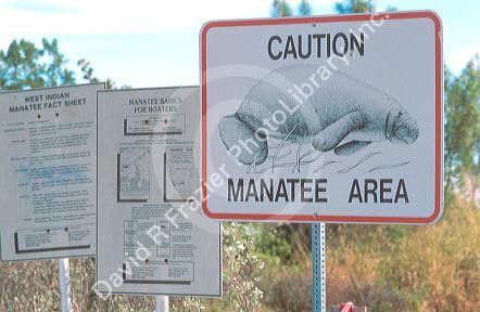 Manatee warning signs at Sarasota, Florida boat launching site.