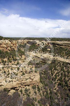 Cliff dwellings in Mesa Verde, Colorado.  Village is tucked beneath the lip of the cliff at the center of the photo.  Other images reveal close up detail of the dwellings.