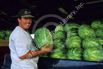 Farmer with watermelons in Cordele, Georgia.