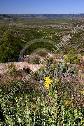 Pecos River Valley near Ft. Lancaster, West Texas.