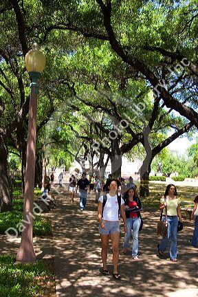 Students walking and using cell phones on the campus of University of Texas in Austin.