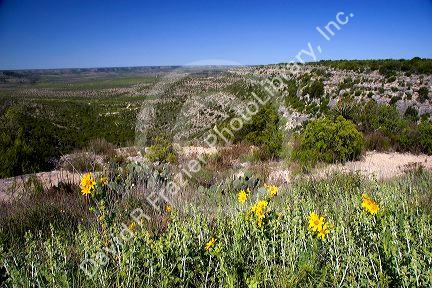 Pecos River Valley near Ft. Lancaster, West Texas.