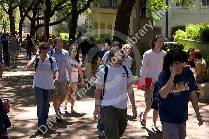 Students walking and using cell phones on the campus of University of Texas in Austin.