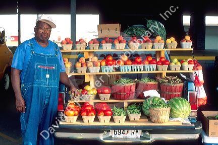 farmer selling produce out of the back of his truck in georgia.