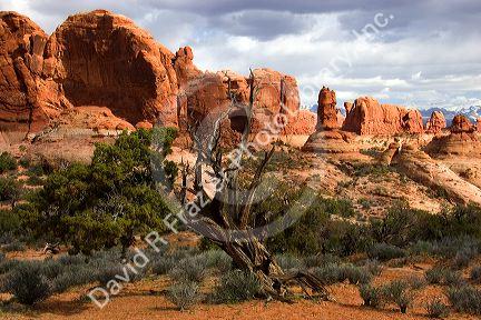 Rock formations at Arches National Park near Moab, Utah.