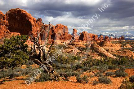Rock formations at Arches National Park near Moab, Utah.