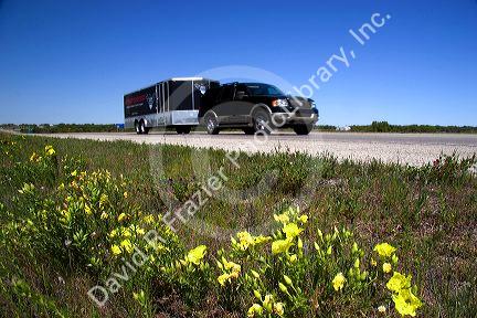 Wildflowers grow along Interstate-10 in west Texas.